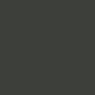 gris1.jpg